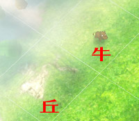 スクショ